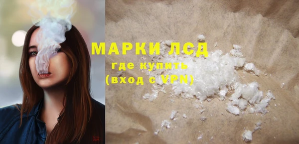 индика Арсеньев