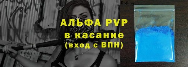 индика Арсеньев