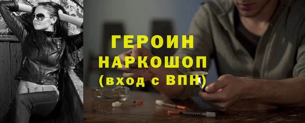 индика Арсеньев