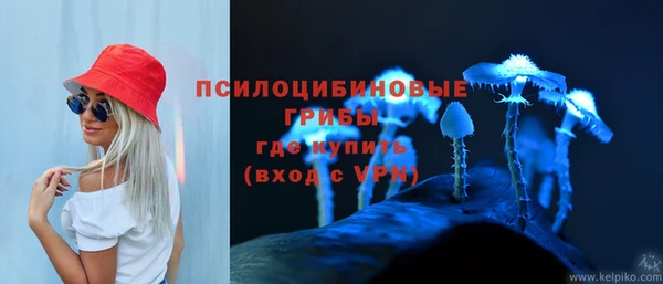 индика Арсеньев