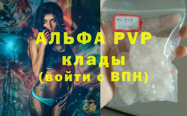 индика Арсеньев