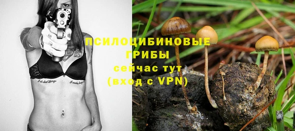 ALPHA PVP Баксан