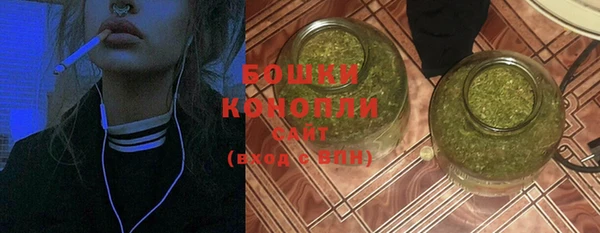 гашик Карпинск